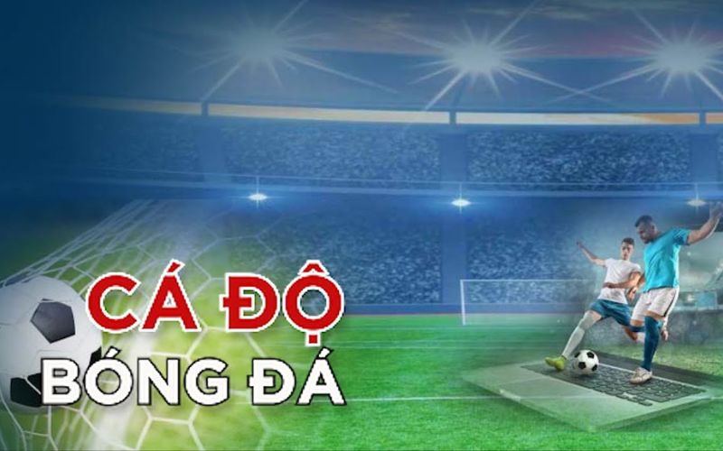 ca-do-bong-da-viet-nam-nha-cai-hop-phap-hoa-trong-nam-2024-33